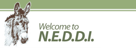 N.E.D.D.I. - Adopt a Donkey