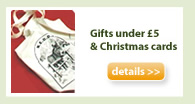 unusual gifts