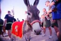 iraq-marines-donkey1
