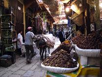 donkey-in-the-medina