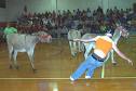 donkey-basketball
