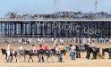 beach-donkeys beach-donkeys