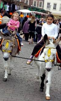 donkey-rides-in-doncaster donkey-rides-in-doncaster