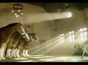 Budweiser donkey