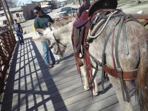 DONKEY TREK DONKEY TREK