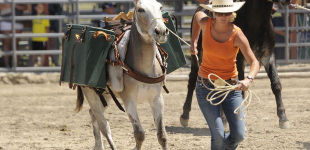 Racing, packing and driving on display at Montana Mule Days Racing, packing and driving on display at Montana Mule Days